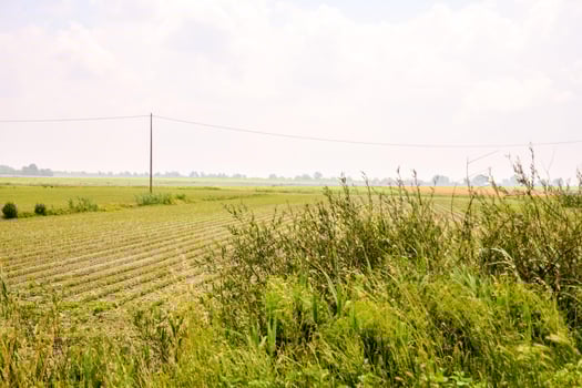 Scenic rural landscape photo
