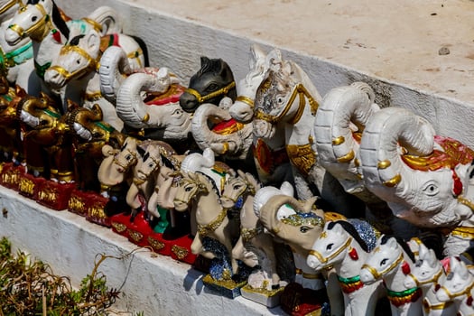 a row of figurines of animals on a wall photo