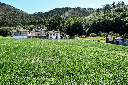 Scenic rural landscape photo
