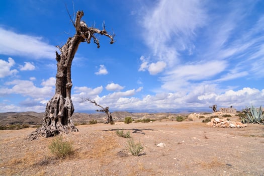 Scenic rural landscape photo