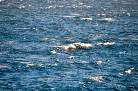View of the water photo
