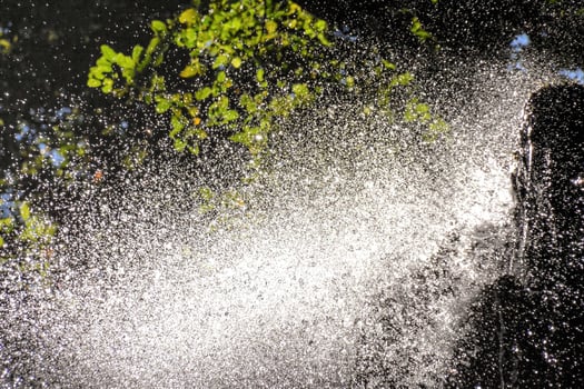 Splash of water photo