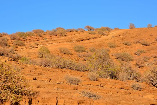 Scenic desert landscape photo