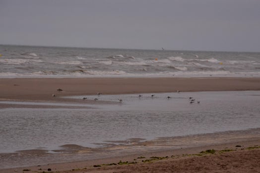 Scenic coastal view photo