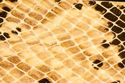 Stone texture background photo