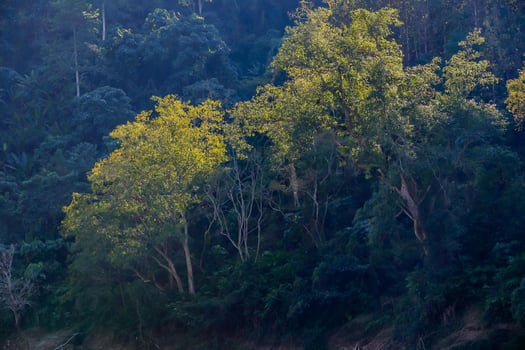 Rural landscape in East Asia photo