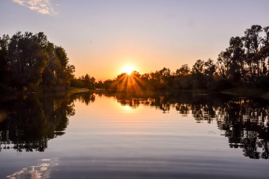 Landscape in summer photo