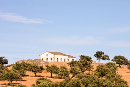 Urban landscape with a Villa photo