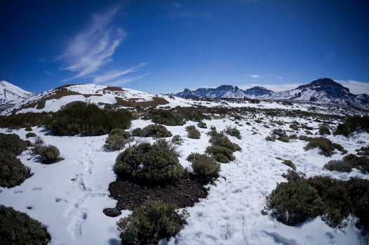 Snowy winter landscape photo