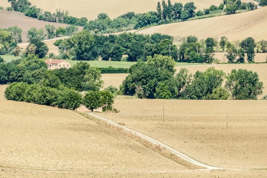 Landscape in summer photo