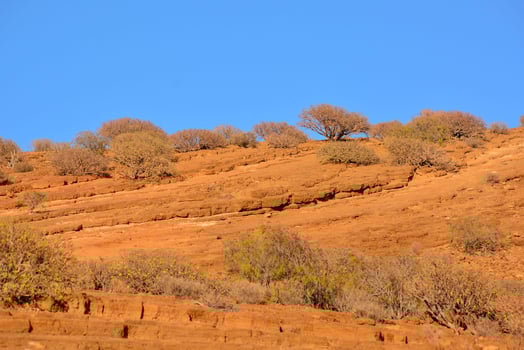Landscape on the Canary Islands photo