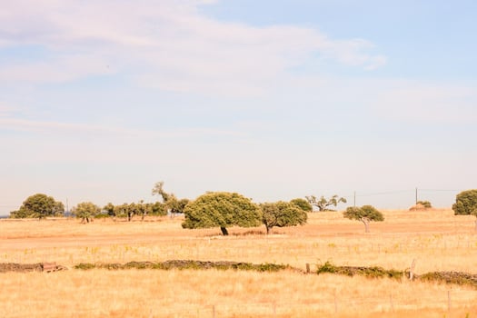 Desert landscape view photo