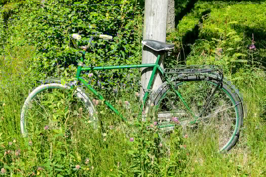 Green bike view photo