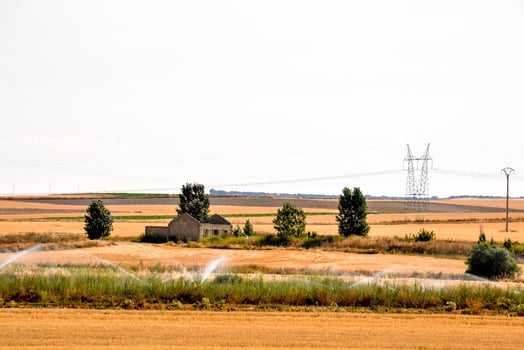 Farmland crop view photo