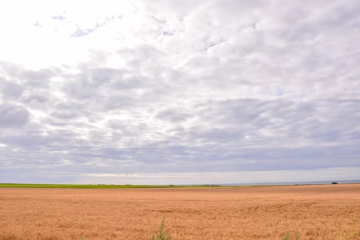 Sand dunes view photo