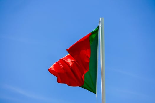 Flag in the wind photo