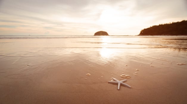 Starfish beach sea and sand summer mountains background. photo