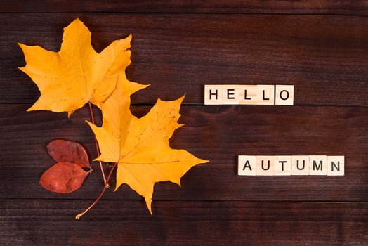 Hello autumn. The inscription from wooden letters and fallen leaves on  dark background. photo