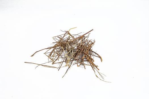Bhumi amla roots or phyllanthus niruri on white background photo
