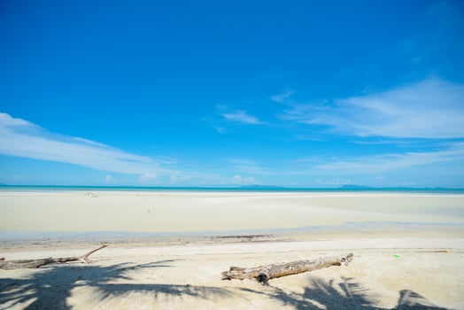 Summer background with coconut leaves and bright sky. photo