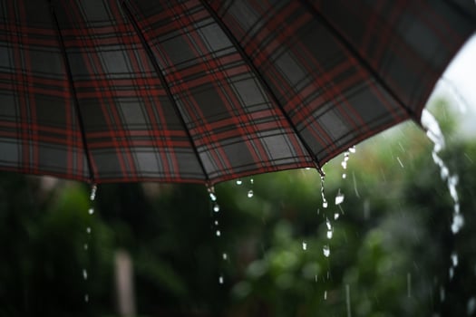 rain and leaves,water droplets on rainy day photo