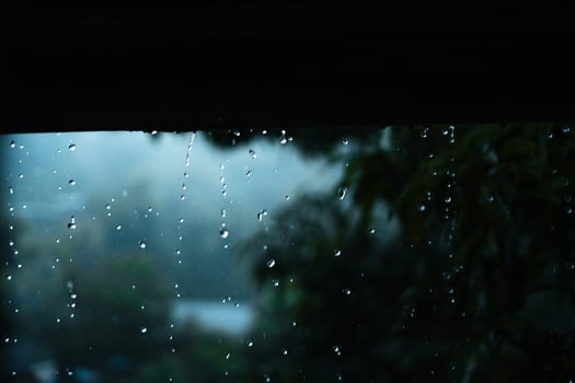 rain and leaves,water droplets on rainy day photo