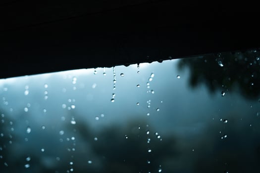 rain and leaves,water droplets on rainy day photo