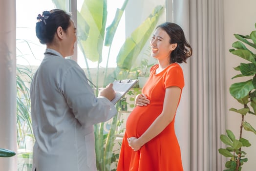 Happy pregnant woman consultation with doctor near window photo