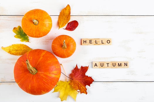 Hello autumn. Ripe pumpkins and fallen yellow leaves on white background. Halloween and Thanksgiving symbol. photo
