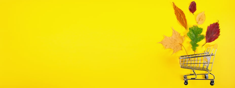 Autumn sale concept. Shopping cart and fallen colored leaves on yellow background. Creative composition for advertising. photo
