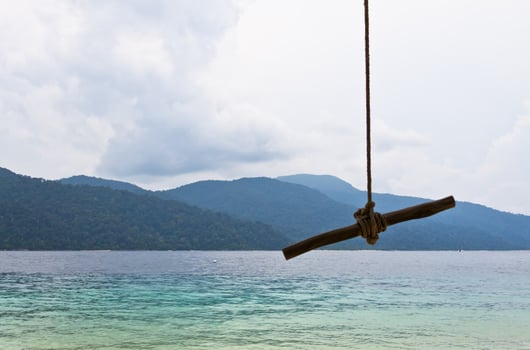 rope swing and  beautiful sea photo