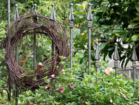 summer time in the garden photo