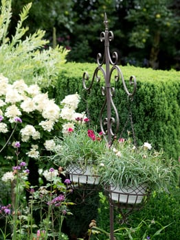 summers flowers in the garden photo