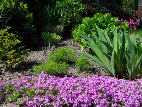 Summer time in a german garden photo