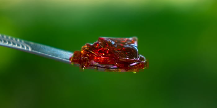 amber yellow cannabis wax concentrate dripping from the dabbing tool closeup photo
