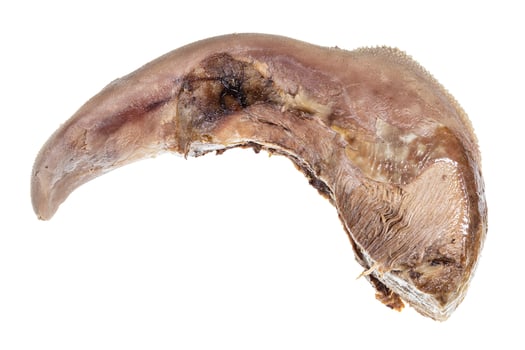 single boiled beef tongue isolated on white photo