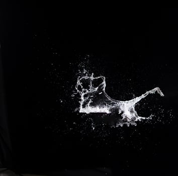 Water splash in air drop over black background, studio lighting high speed photo