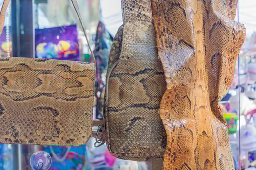 woman bag and backpack made of snake skin. photo