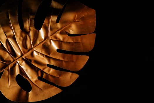 Fashionable luxuary black background with gold monstera leaf. Copy space for text photo