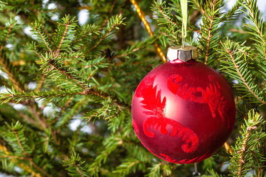 decorated red ball on twigs of christmas tree photo