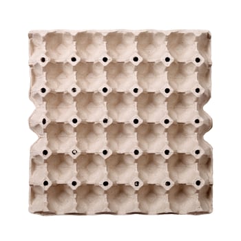 Empty tray of eggs photo