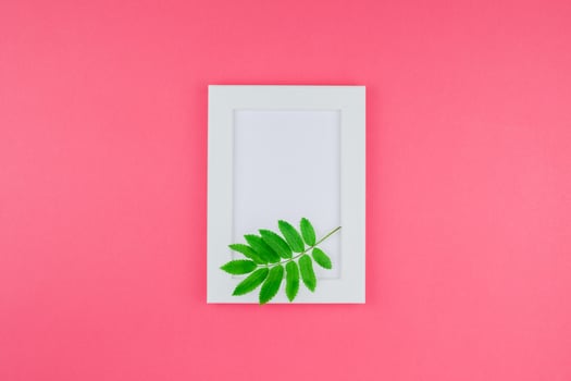 Frame mock up with fresh green leaves photo