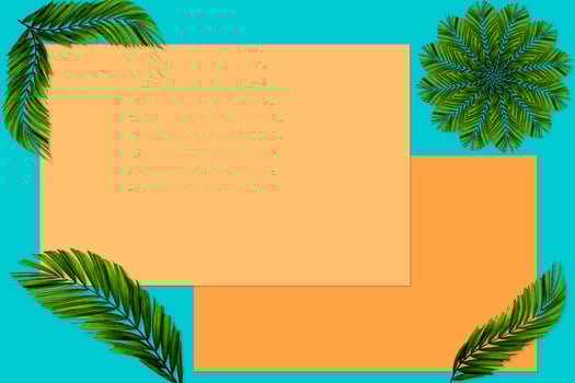 Green palm leaves pattern for nature concept,tropical leaf on orange and teal paper background photo