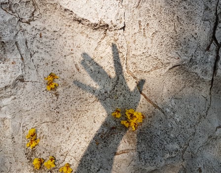 hands shadow with yellow flowers on stone background photo