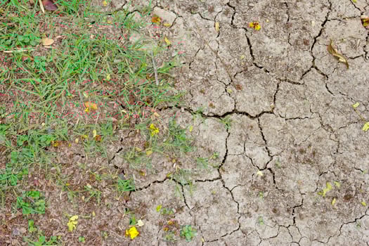 dry and crack soil with green grass photo