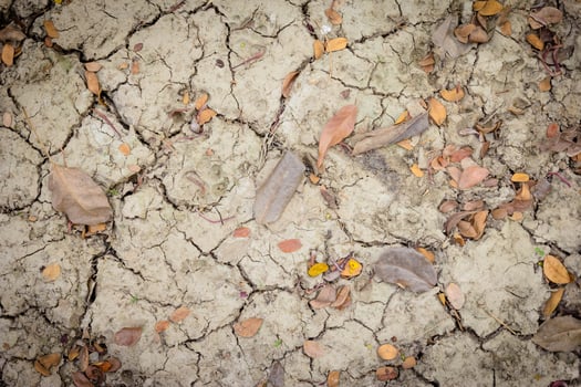 dry and crack soil with leaves photo
