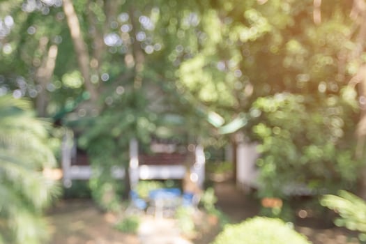 Blurry house in the forest background photo