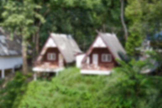 Blurry house in the forest background photo