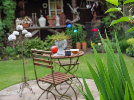 summer time in the garden photo