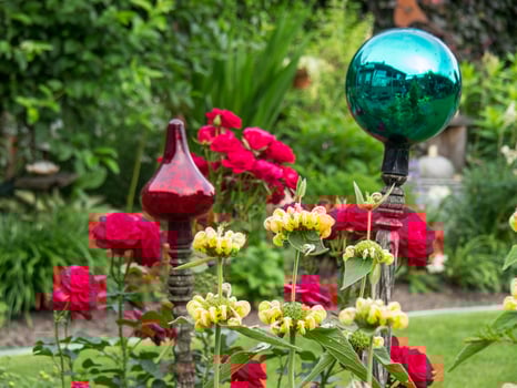 bleeding flowers in a german garden photo